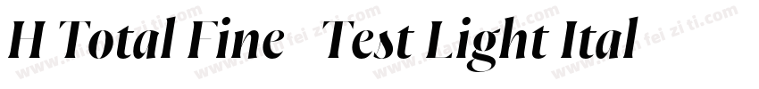 H Total Fine   Test Light Italic字体转换